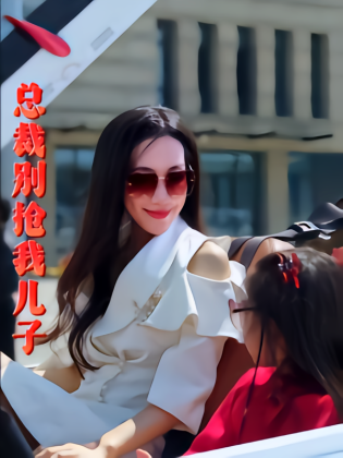 总裁别抢我儿子