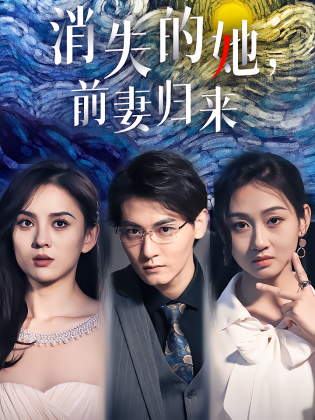 消失的她，前妻归来