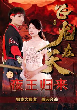 飞龙在天之夜王归来
