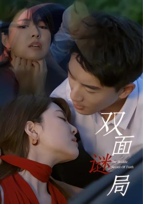 双面谜局