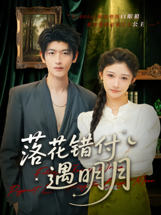 落花错付遇明月