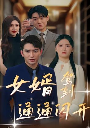 女婿驾到，通通闪开