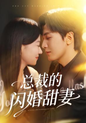 总裁的闪婚甜妻