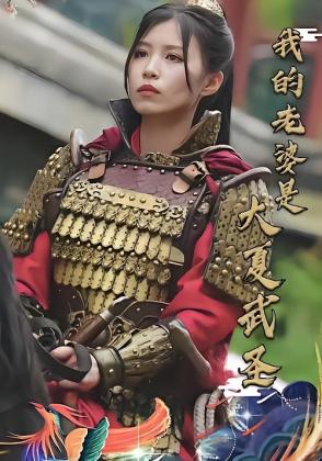 我的老婆是大夏武圣