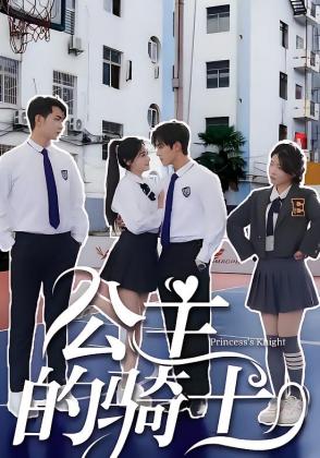 公主的骑士