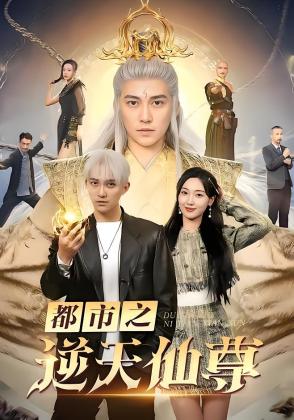 都市之逆天仙尊