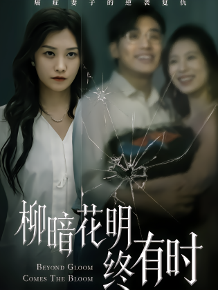 柳暗花明终有时