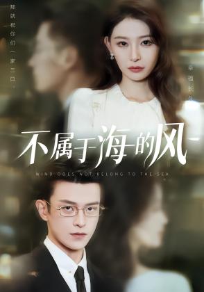 不属于海的风