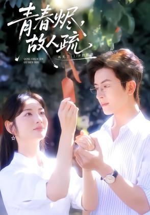 青春烬，故人疏