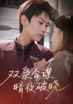 双枭合谋暗夜破晓