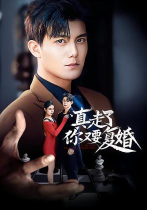 真走了你又要复婚