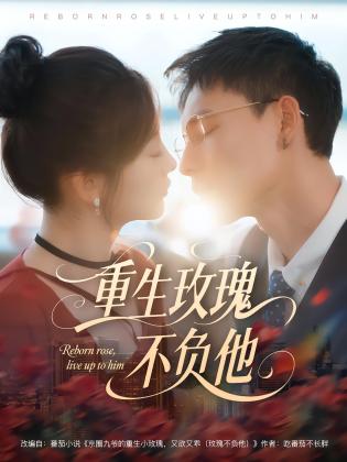 重生玫瑰不负他