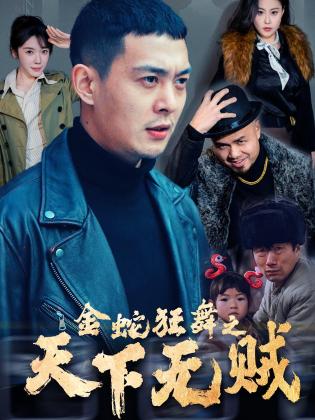 金蛇狂舞之天下无贼