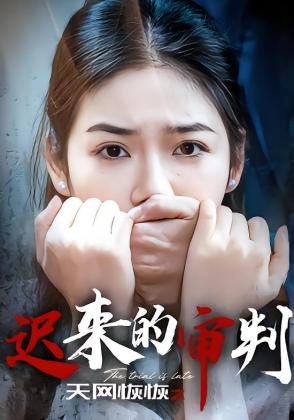 天网恢恢之迟来的审判