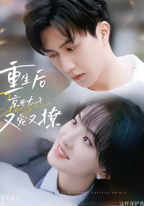重生后京圈太子又宠又撩