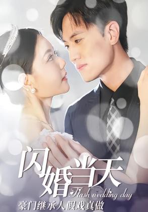 闪婚当天豪门继承人假戏真做