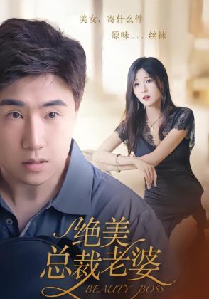 绝美总裁老婆