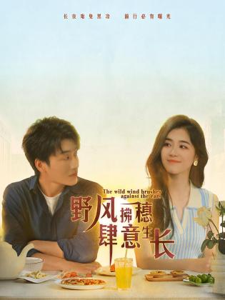 野风拂穗肆意生长