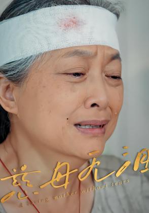 慈母无泪