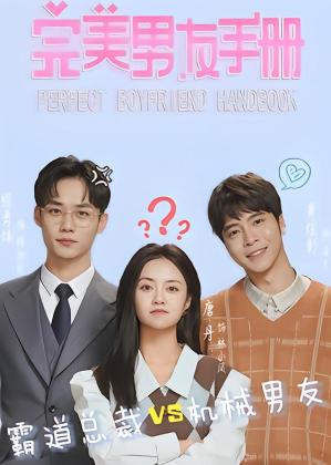 完美男友手册