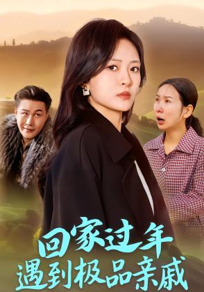 回家过年遇到极品亲戚