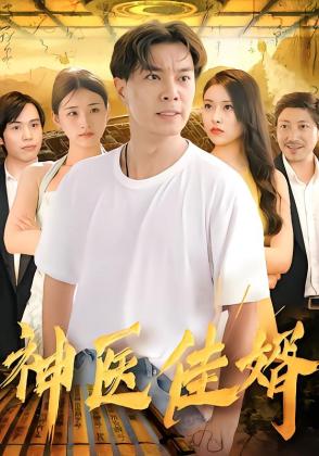 神医佳婿