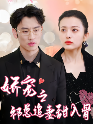 娇宠之祁总追妻甜入骨