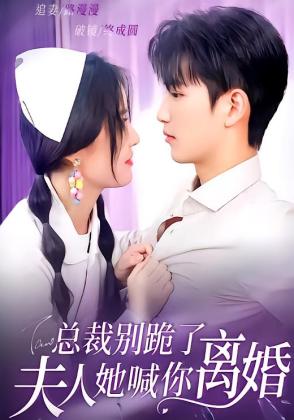 总裁别跪了，夫人她喊你离婚