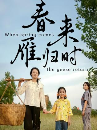 春来雁归时