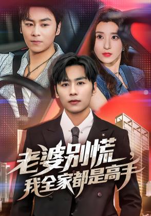 老婆别慌，我全家都是高手