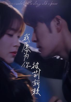 我愿为你披荆斩棘