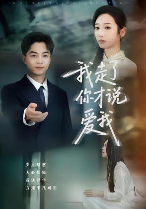 我走了你才说爱我