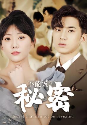 不能说的秘密
