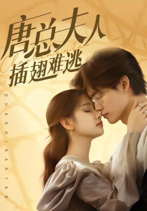 唐总夫人插翅难逃