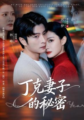 丁克妻子的秘密