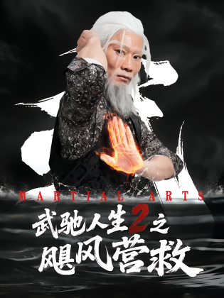 武驰人生2之飓风营救