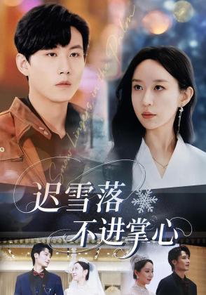 迟雪落不进掌心