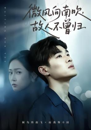 微风向南吹，故人不曾归