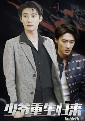 少爷重生归来