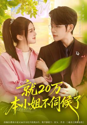 就20万！本小姐不伺候了