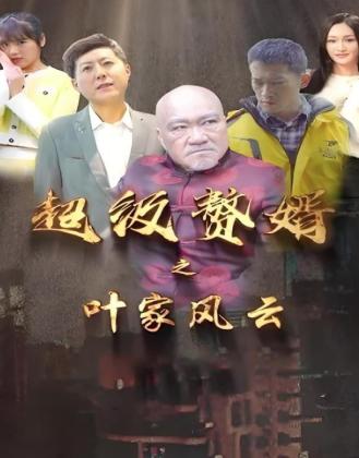 超级赘婿之叶家风云