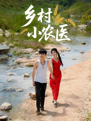 乡村小农医