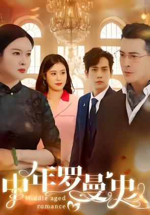 中年罗曼史